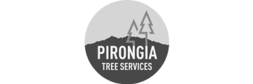Unbound Client - Pirongia Tree Services